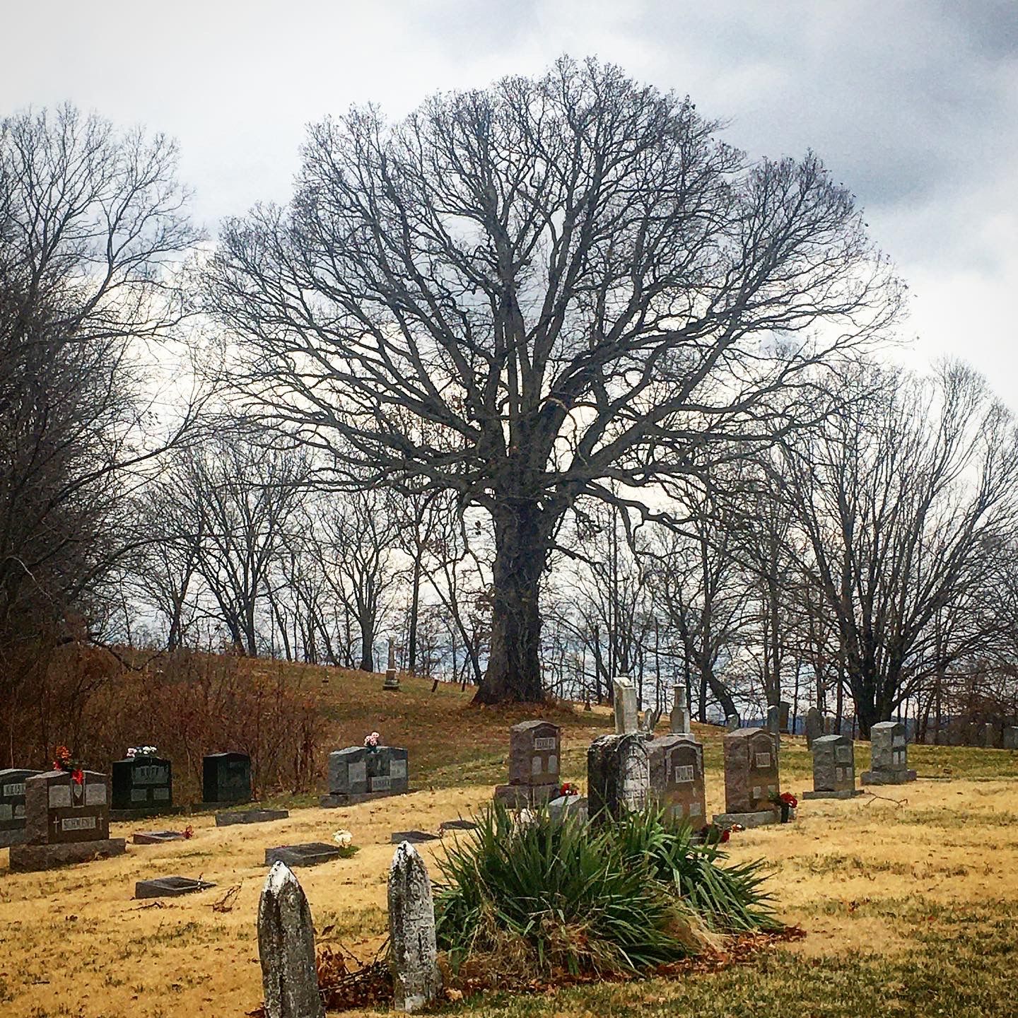 Chamois City Cemetery